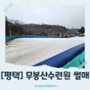 [평택] 가성비 최고! 무봉산청소년수련원 눈썰매장 가족 나들이 후기(입장료, 운영시간, 매점, 슬로프...