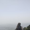 거북골길 Daum카페