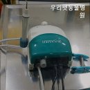 우리펫동물병원 | 안산동물병원 우리펫동물병원 정성을 다하는 병원