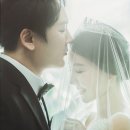 메르시메르시 이미지