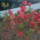 성암생활체육관 이미지