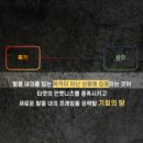 영애드 이미지