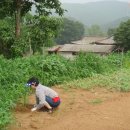 삼죽농장 이미지