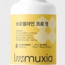 뮤시아