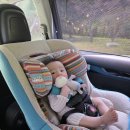 늘믿음자동차 | 불스원 자동차 에어컨 필터 프리미엄, 내돈내산 후기 (ft. 쏘렌토)