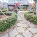 새뜸초등학교 이미지