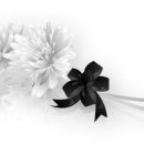 이현안경원 이미지