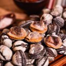 보성유통 | 제철 새꼬막 특대 리뷰: 보성의 맛을 느껴보세요!