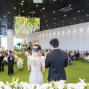 다르미앙 이미지