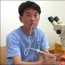 전이랑 순이랑 이미지