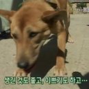 주둥이