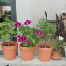 월광디테일 이미지