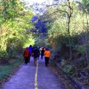 황포돗대 주변 이미지