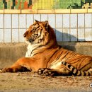 성마루농장 이미지