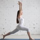 맥시멈요가 이미지