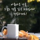 11월 첫날 화요일 아침 인사드립니다 이미지