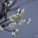 상방공원 화장실 | 20240320.수. 강화 마니산