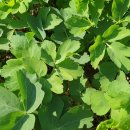 유송보건진료소 이미지