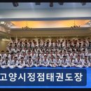 정점태권도장 네이버블로그