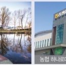 증평대광로제비앙 이미지