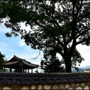 정온 민박 | ( 거창 여행 ) 동계 종택,반구헌