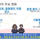 슬기로운 글쓰기 첫걸음 이미지