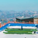 365게임랜드 이미지