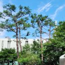 달님베이커리 이미지