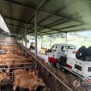 연합가축병원 이미지