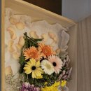 예산 위드엔젤 이미지