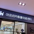 아프리카 동물의료센터 이미지