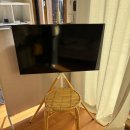 대관령하우스 | 대관령) 겨울 바베큐 가능한 강원도 대관령 독채 펜 추천 [일오하우스]