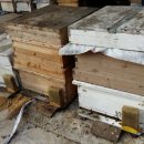 계상농장 이미지