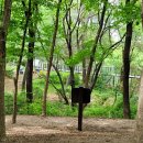 (주)오월에숲 이미지