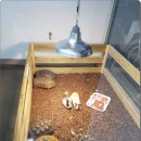 더 샵 동물메디컬센터 이미지