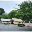 세라핌캠프 이미지