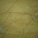 국립현대미술관(과천관) 이미지