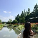 누구나 할 수 있는 헤어커트 | 부산 센텀 미용실 에코레비헤어앤스파 현디자이너 커트 후기