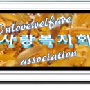 흥부가 기가막혀 Daum카페