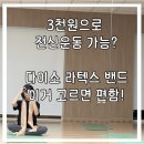 힘이 되는 문구쓰기 캘리그라피 중급 | 다이소 라텍스밴드(세라밴드) 단계별 추천 | 가격 비교표 사용법