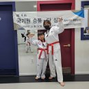 태권도 배움道장 이미지