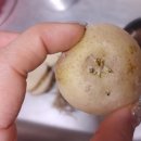 금형농장 이미지