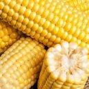 모단농장 이미지