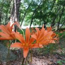 눈물 쏟던 조국혁신당 강미정 &#34;동지들의 성추행!&#34; 폭로 &#39;발칵&#39; / JTBC News 이미지