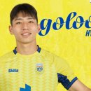 아로아로 이미지