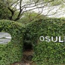 제주 서귀포 오설록 티뮤지엄 이미지