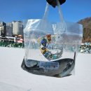 산천어낚시 | 2026 화천 산천어축제 재방문 후기 + 낚시 방법, 축제 팁