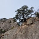 변산자연휴양림 이미지