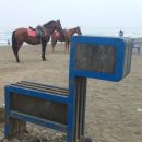 해안민박 네이버블로그