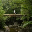 노화농장 이미지